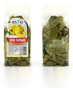 Ayva Yaprağı